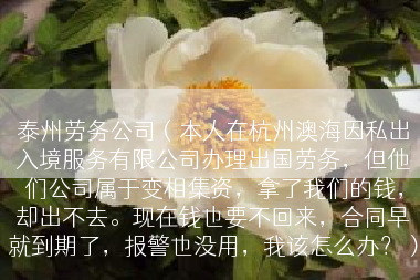 泰州劳务公司（本人在杭州澳海因私出入境服务有限公司办理出国劳务，但他们公司属于变相集资，拿了我们的钱，却出不去。现在钱也要不回来，合同早就到期了，报警也没用，我该怎么办？）