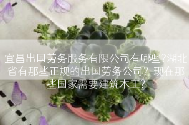 宜昌出国劳务服务有限公司有哪些?湖北省有那些正规的出国劳务公司？现在那些国家需要建筑木工?