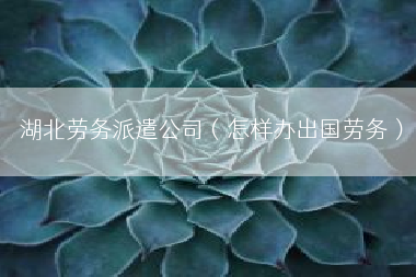 湖北劳务派遣公司（怎样办出国劳务）