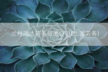 兰州鸿达劳务派遣公司(出国劳务)