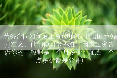 劳务合同如何发工资(想问这个出国劳务打准么，他们说可能不准，因为工资告诉你的一般都是一个月多少？加班一个点多少都是分开)