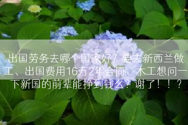 出国劳务去哪个国家好？要去新西兰做工、出国费用16万2年合同、木工想问一下新国的前辈能挣到钱么？谢了！！？