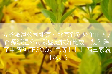 劳务派遣公司北京？北京针对外企的人力资源派遣公司哪些比较好比较正规？除了中智和FESCO。急等！！！两三家就可以。？