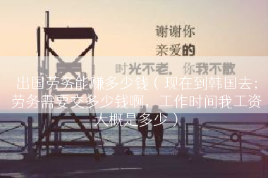 出国劳务能赚多少钱（现在到韩国去；劳务需要交多少钱啊，工作时间我工资大概是多少）