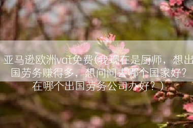 亚马逊欧洲vat免费(我现在是厨师，想出国劳务赚得多，想问问去哪个国家好？在哪个出国劳务公司办好？)