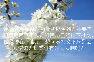 出国劳务印度尼西亚和以色列？将要去印度尼西亚工作，移民局已经批下批文，但是现在不能走，想问从批文下来到去大使馆办理签证有时间限制吗？