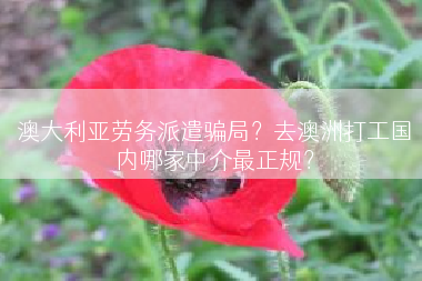 澳大利亚劳务派遣骗局？去澳洲打工国内哪家中介最正规？