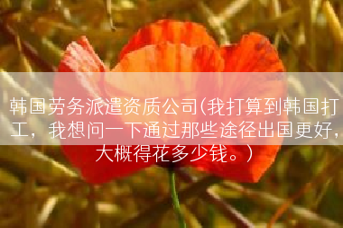 韩国劳务派遣资质公司(我打算到韩国打工，我想问一下通过那些途径出国更好，大概得花多少钱。)