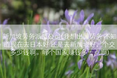 新加坡劳务派遣公司(我想出国劳务 不知道现在去日本好 还是去新加坡好，个交多少钱啊。哪个国家赚钱多一点啊)