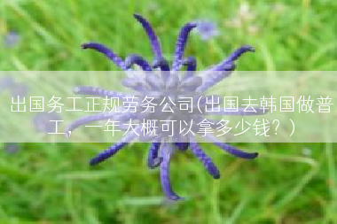 出国务工正规劳务公司(出国去韩国做普工，一年大概可以拿多少钱？)