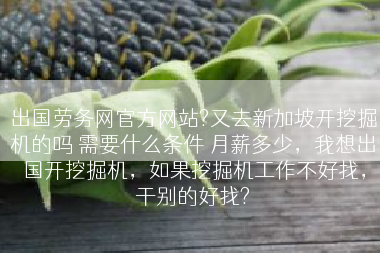 出国劳务网官方网站?又去新加坡开挖掘机的吗 需要什么条件 月薪多少，我想出国开挖掘机，如果挖掘机工作不好找，干别的好找?