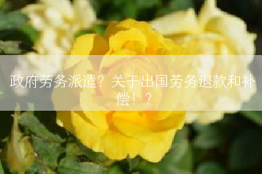政府劳务派遣？关于出国劳务退款和补偿！？