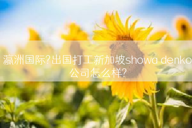 瀛洲国际?出国打工新加坡showa denko公司怎么样?