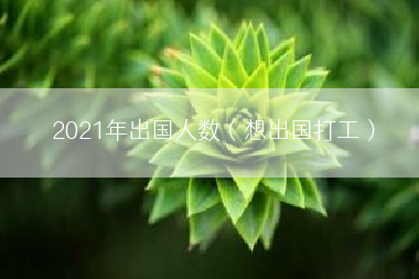 2021年出国人数（想出国打工）
