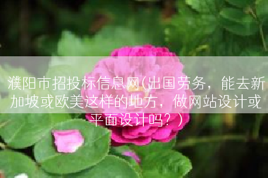 濮阳市招投标信息网(出国劳务，能去新加坡或欧美这样的地方，做网站设计或平面设计吗？)
