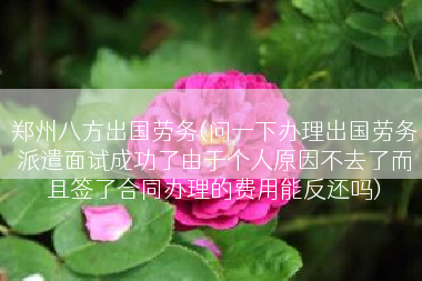 郑州八方出国劳务(问一下办理出国劳务派遣面试成功了由于个人原因不去了而且签了合同办理的费用能反还吗)