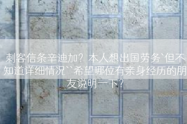 刺客信条辛迪加？本人想出国劳务`但不知道详细情况``希望哪位有亲身经历的朋友说明一下？
