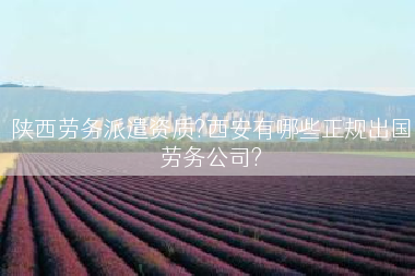 陕西劳务派遣资质?西安有哪些正规出国劳务公司?