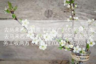 去马来西亚机票（武汉广兴船务招学生去马来西亚，菲律宾以旅游签证去境外务工收两万（给代理7000 ）合法吗？）