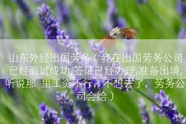山东外经出国劳务（我在出国劳务公司已经面试成功,签证己经办理,准备出境,听说那�里工资不行，不想去了，劳务公司会给）