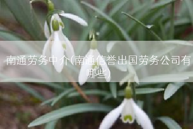 南通劳务中介(南通信誉出国劳务公司有哪些)
