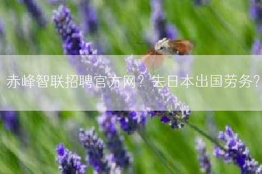 赤峰智联招聘官方网？去日本出国劳务？