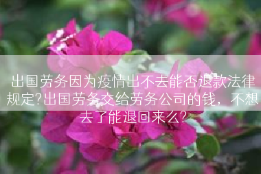 出国劳务因为疫情出不去能否退款法律规定?出国劳务交给劳务公司的钱，不想去了能退回来么?