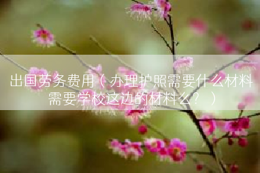 出国劳务费用（办理护照需要什么材料 需要学校这边的材料么？）