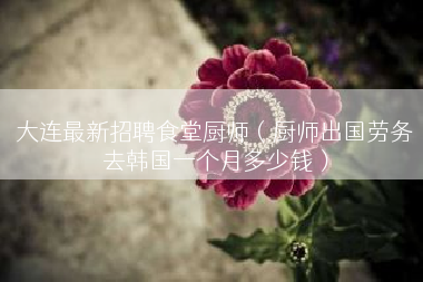 大连最新招聘食堂厨师（厨师出国劳务去韩国一个月多少钱）