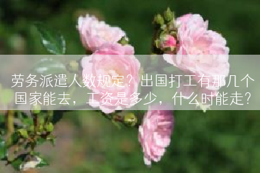 劳务派遣人数规定？出国打工有那几个国家能去，工资是多少，什么时能走？