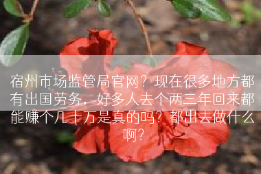 宿州市场监管局官网？现在很多地方都有出国劳务，好多人去个两三年回来都能赚个几十万是真的吗？都出去做什么啊？