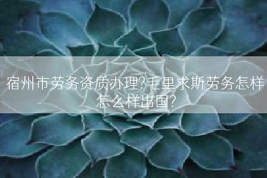 宿州市劳务资质办理?毛里求斯劳务怎样怎么样出国?
