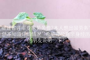 福建省评审专家劳务费?本人想出国劳务`但不知道详细情况``希望哪位有亲身经历的朋友说明一下?