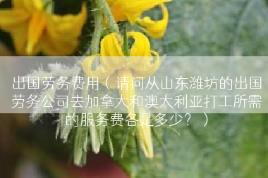 出国劳务费用（请问从山东潍坊的出国劳务公司去加拿大和澳大利亚打工所需的服务费各是多少？）