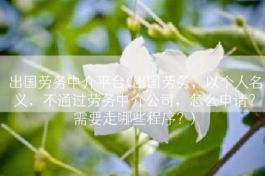 出国劳务中介平台(出国劳务，以个人名义，不通过劳务中介公司，怎么申请？需要走哪些程序？)