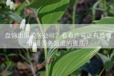 盘锦出国劳务公司？看看许可证有没有出国劳务派遣的资质？