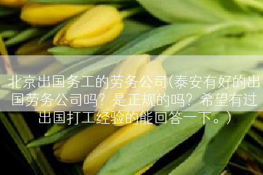 北京出国务工的劳务公司(泰安有好的出国劳务公司吗？是正规的吗？希望有过出国打工经验的能回答一下。)