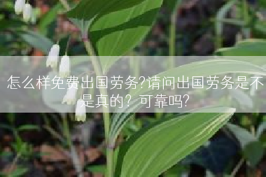 怎么样免费出国劳务?请问出国劳务是不是真的？可靠吗?