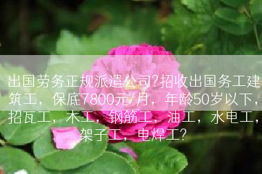 出国劳务正规派遣公司?招收出国务工建筑工，保底7800元/月，年龄50岁以下，招瓦工，木工，钢筋工，油工，水电工，架子工，电焊工?