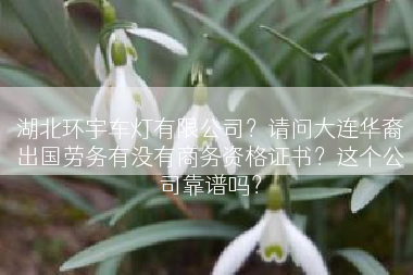湖北环宇车灯有限公司？请问大连华裔出国劳务有没有商务资格证书？这个公司靠谱吗？