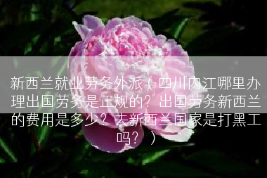 新西兰就业劳务外派（四川内江哪里办理出国劳务是正规的？出国劳务新西兰的费用是多少？去新西兰国家是打黑工吗？）