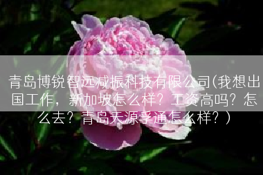 青岛博锐智远减振科技有限公司(我想出国工作，新加坡怎么样？工资高吗？怎么去？青岛天源孚通怎么样？)