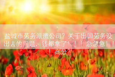 盐城市劳务派遣公司？关于出国劳务没出去的问题，钱都拿了！！！急急急！！！高分？
