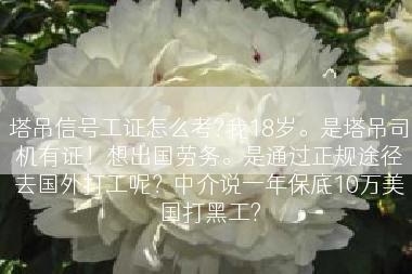 塔吊信号工证怎么考?我18岁。是塔吊司机有证！想出国劳务。是通过正规途径去国外打工呢？中介说一年保底10万美国打黑工?