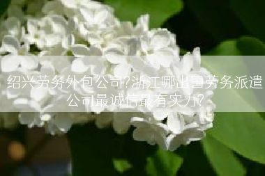 绍兴劳务外包公司?浙江哪出国劳务派遣公司最诚信最有实力?