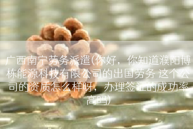 广西南宁劳务派遣(你好，你知道濮阳博栋能源科技有限公司的出国劳务 这个公司的资质怎么样呀，办理签证的成功率高吗)