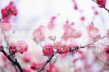 菏泽劳务公司(我18岁。是塔吊司机有证！想出国劳务。是通过正规途径去国外打工呢？中介说一年保底10万美国打黑工)