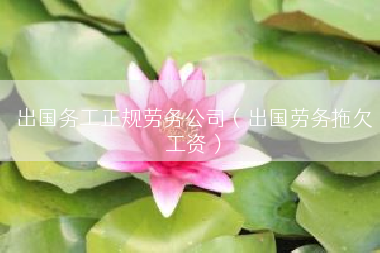 出国务工正规劳务公司（出国劳务拖欠工资）