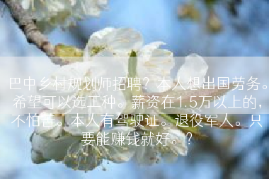 巴中乡村规划师招聘？本人想出国劳务。希望可以选工种。薪资在1.5万以上的，不怕苦。本人有驾驶证。退役军人。只要能赚钱就好。？