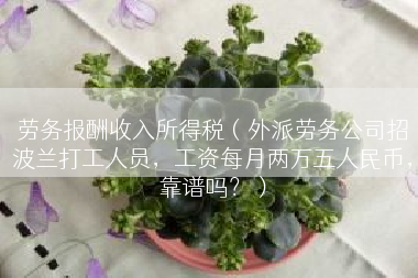 劳务报酬收入所得税（外派劳务公司招波兰打工人员，工资每月两万五人民币，靠谱吗？）